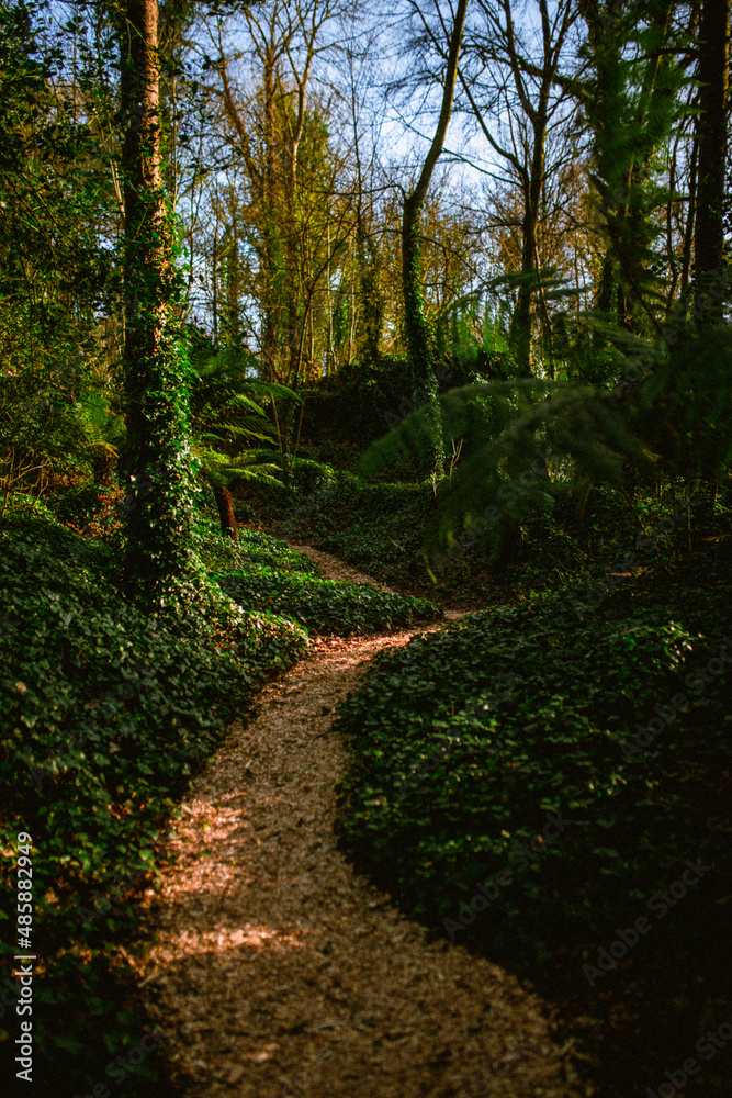 Obraz premium Blarney Castle and Gardens