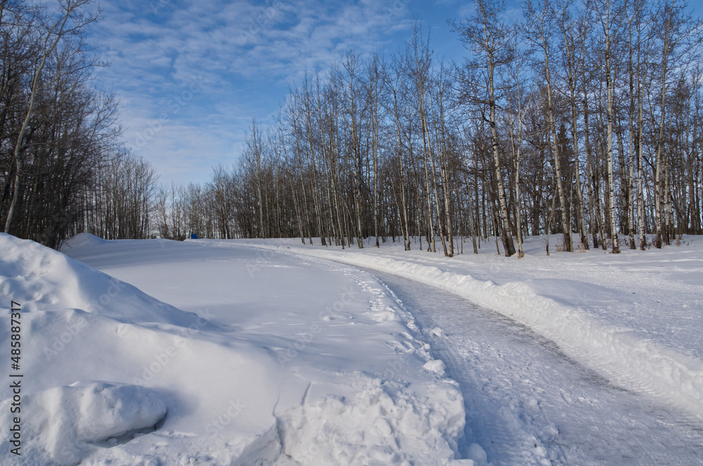 Winter Scenery at Elk Island National Park Winter Scenery at Elk Island National Park