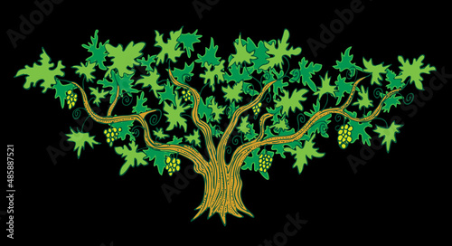 wide vine tree