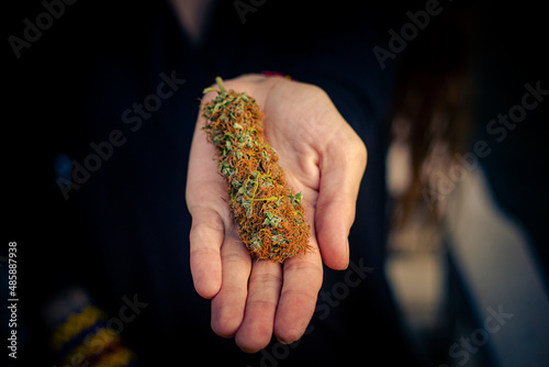 Sao Paulo, SP, Brazil - January 6 2022: Caucasian hands with holding a marijuana flower details.