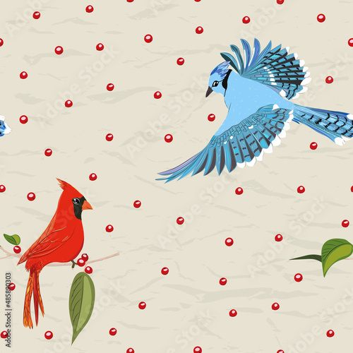 Seamless pattern from new collection with birds. Red cardinal and blue jay.