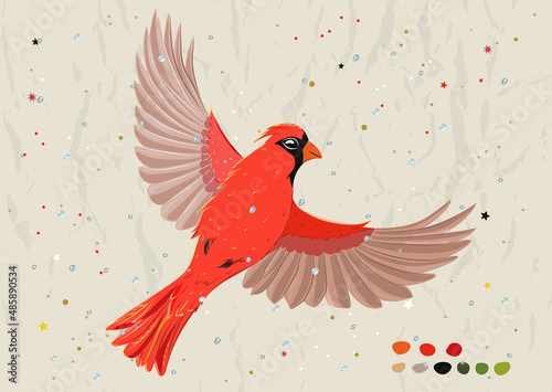 Poster with red cardinal from new bird collection.