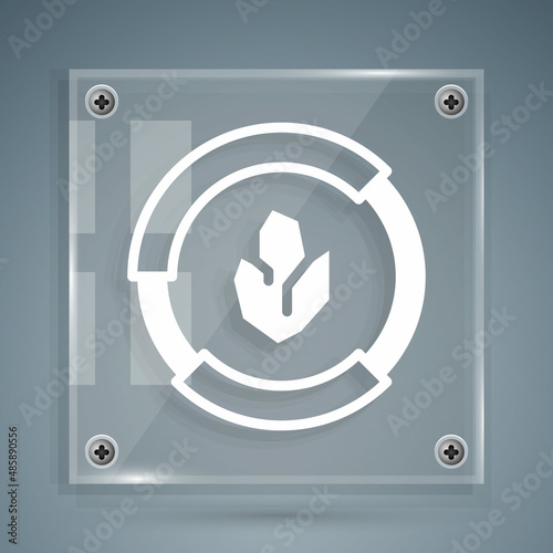 White Agricultural soil test and results icon isolated on grey background. Digital soil analysis. Square glass panels. Vector