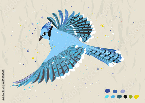 Poster with flight of the blue jay from new collection.