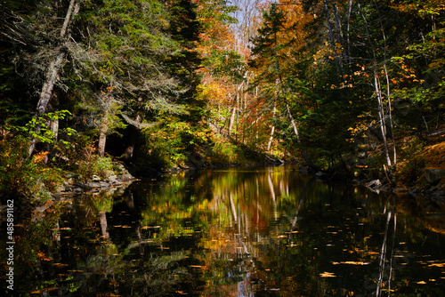 Autumn scene of a flat water river surrounded by colourful trees with reflection © joseph roland