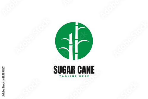 Modern sugarcane stem logo design vector template