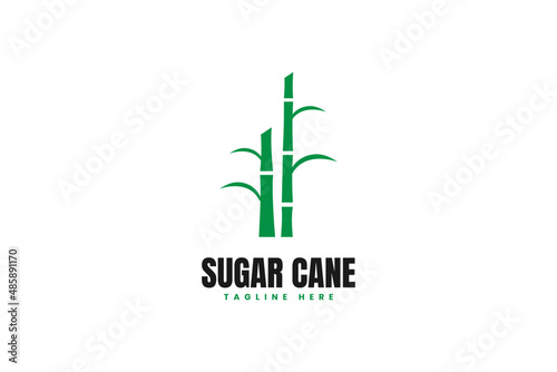 Modern sugarcane stem logo design vector template