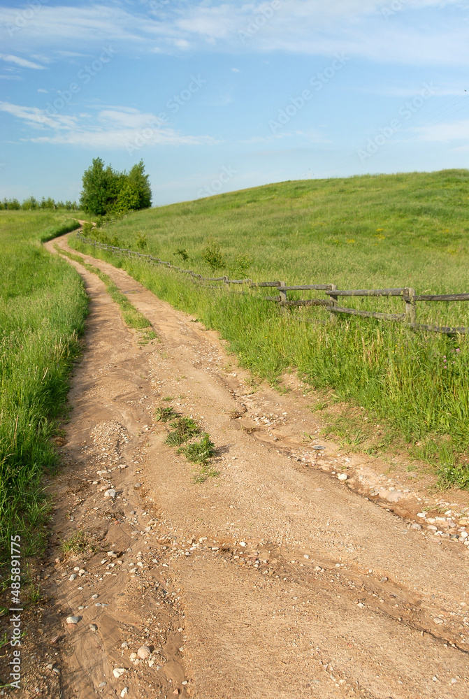 Dirt road between green meadows, Poland