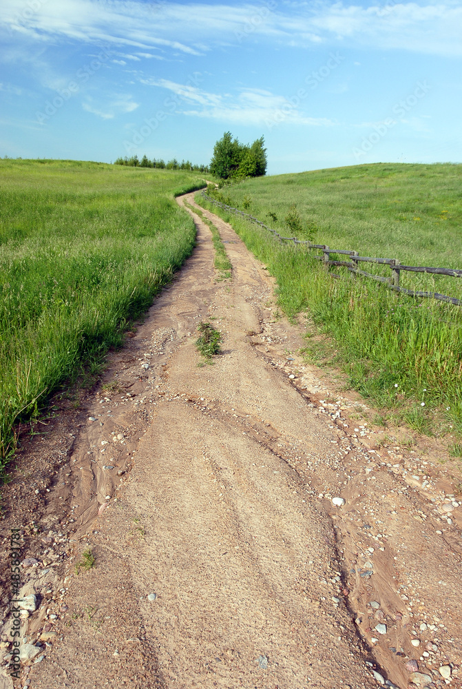 Dirt road between green meadows, Poland