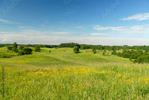 Rural landscape, View of the green meadow, Poland