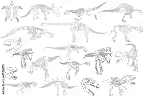 Graphical set of dinosaur skeletons isolated on white background,vector sketch