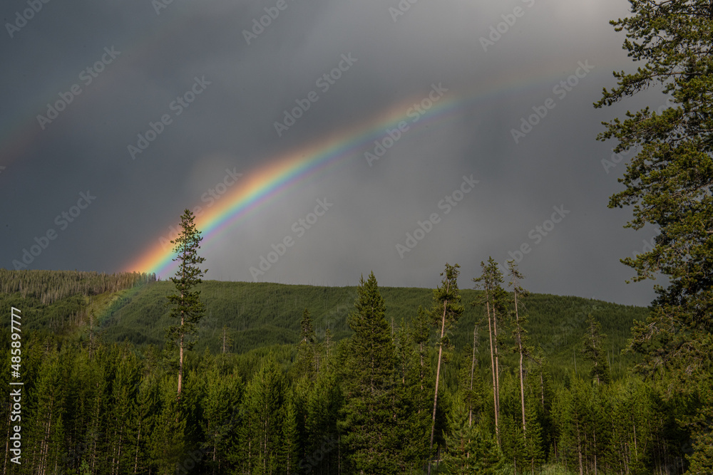 A rainbow in stormy weather