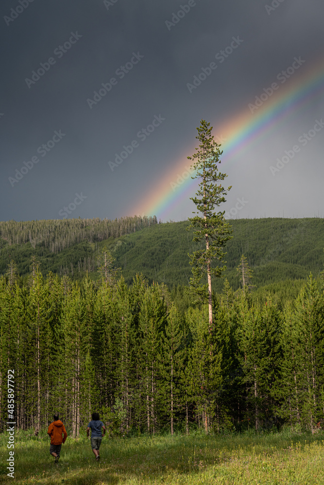 A rainbow in stormy skies and forests