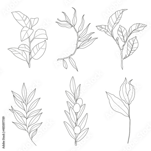 Tree branches in stroke style