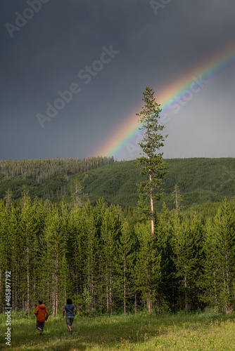 Obraz na płótnie A rainbow in stormy skies and forests w salonie