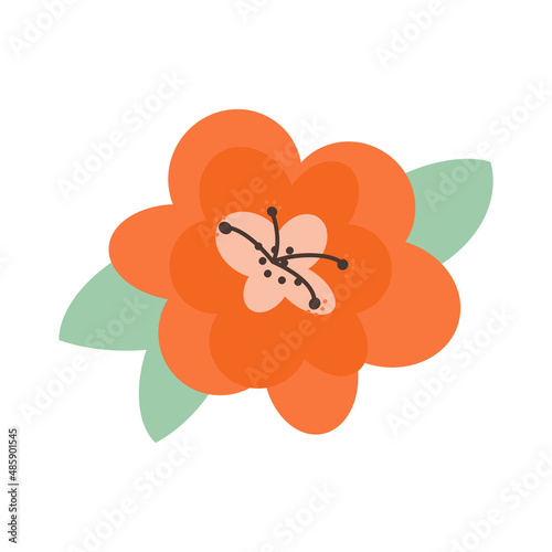 Vector isolated element on white background. Tropical flat flower in flat style. Botanical illustration.