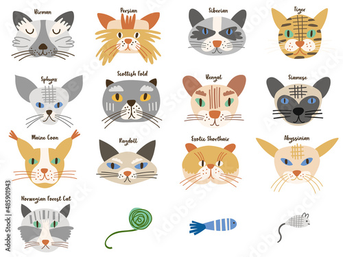 Photography Cat Faces Clipart. Vector illustration.
