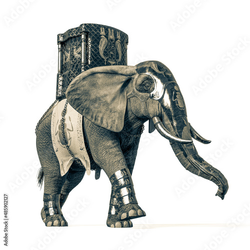 elephant warrior is walking