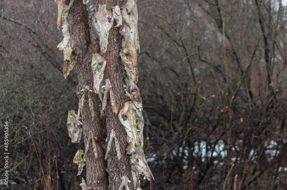 Old abandoned haunted magic totem on the lake in the middle of the forest Old abandoned haunted magic totem on the lake in the middle of the forest