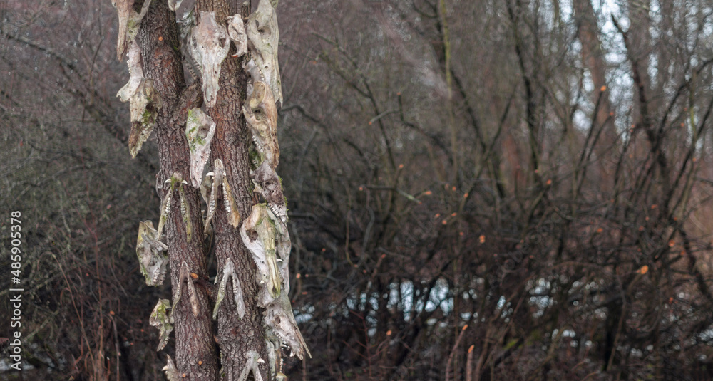 Old abandoned haunted magic totem on the lake in the middle of the forest Old abandoned haunted magic totem on the lake in the middle of the forest