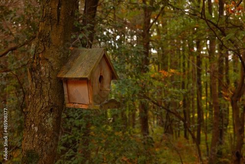 Birdhouse. Wooden birdhouse in the forest at autumn © senerdagasan