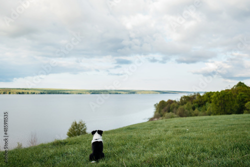 landscape with a lake and sky dog purry photo