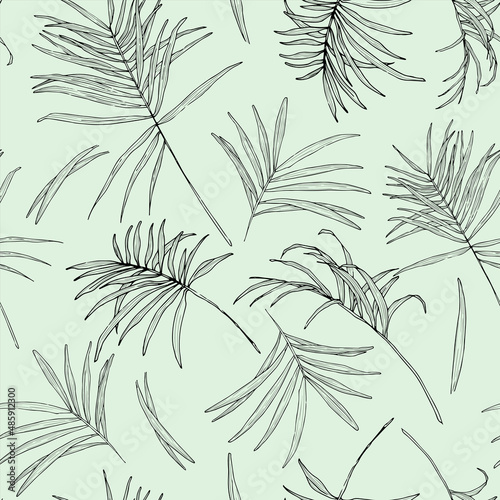 Graphic floral seamless pattern with palm leaves in line art style in soft green background. Hand-drawn illustration for wrapping paper, fabric, textile, design of floral book, cover, package.
