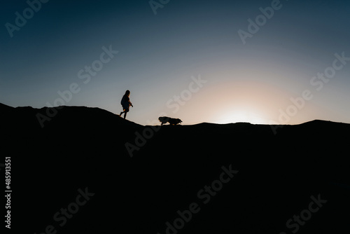 silhouette of a person with a dog