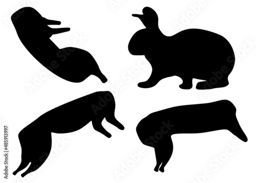 Rabbit and carcass in a set. Vector image.