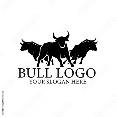black and white bull