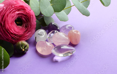 Fototapeta Naklejka Na Ścianę i Meble -  Beautiful pink ranunculus flower and eucalyptus sprigs lying on a purple background. Semi-precious stones of rose quartz and amethyst.