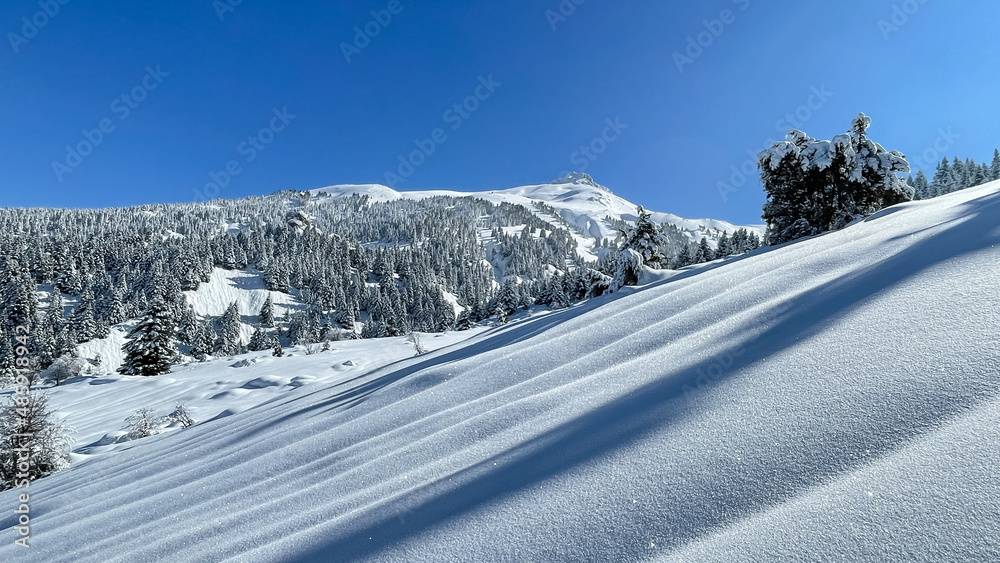 Impressive and soothing winter landscapes in the mountains