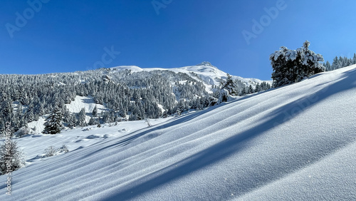 Impressive and soothing winter landscapes in the mountains