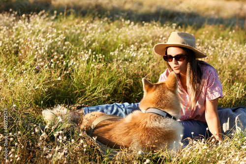 Funny Akita Inu dog with ow...