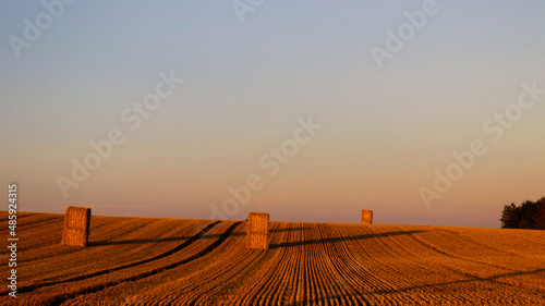 Beautiful shot of golden hay bales on a clear field during sunset