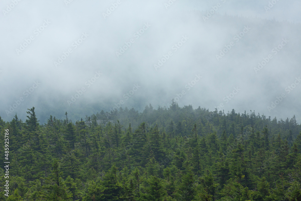 Low clouds obscure the valley below the Mt. Kearsarge summit.