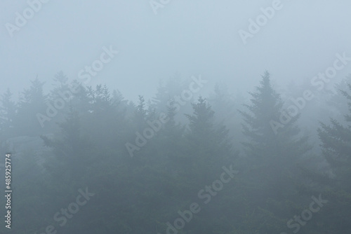Fog of low clouds enshrouds the summit of Mt. Kearsarge.