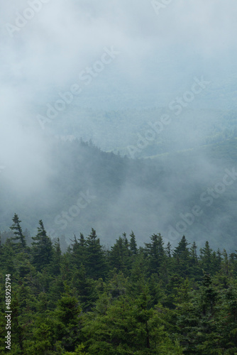 Low clouds obscure the valley below the Mt. Kearsarge summit.
