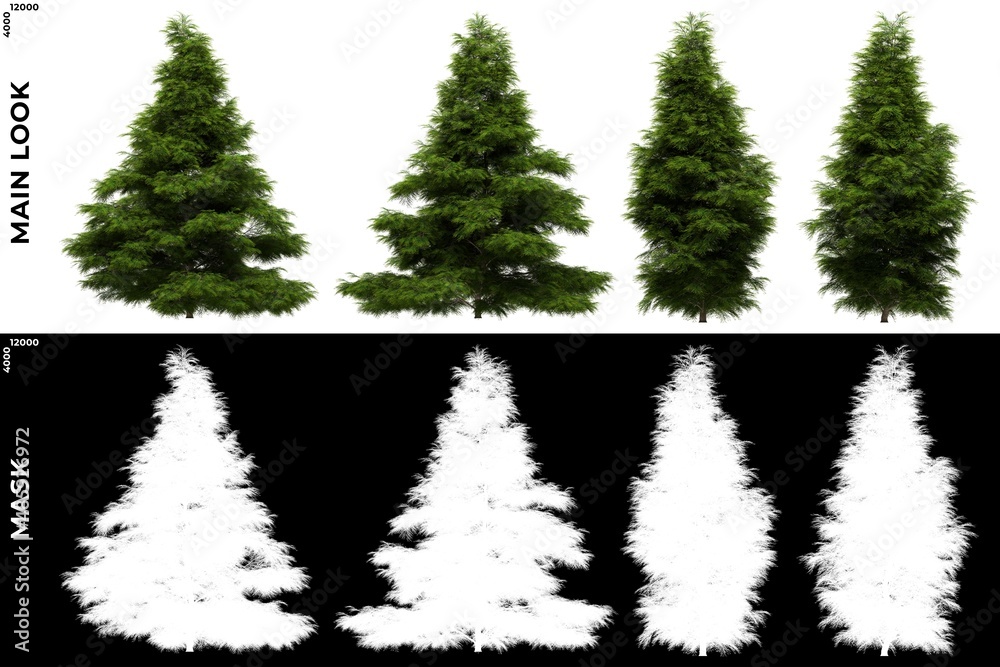 Fototapeta premium 3D Rendering of Front and Left views of Tree (Sabina Chinensis) with alpha mask to cutout and PNG editing. Forest and Nature Compositing.