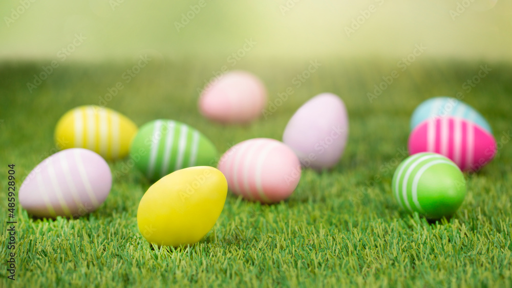 Pastel toned Easter eggs in sunlight on green grass. 