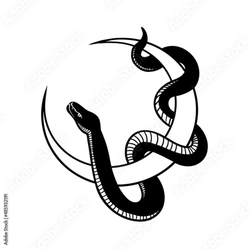 Abstract magic illustration with celestial snake and the moon. Vector illustration isolated on white background. Boho trendy esoteric serpent symbol for tattoo, poster print, fashion, fabric, textile
