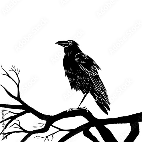 Hand drawn enchanted tree silhouette and black crow. Vector halloween black and white frame