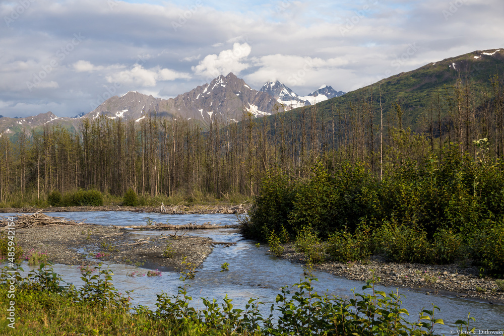 Lowe River view in Alaska in summer