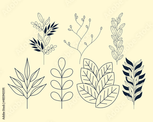 seven laurel branches and leafs