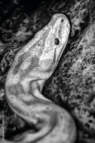 Distrito Xermar (Alberte sánchez Regueiro)