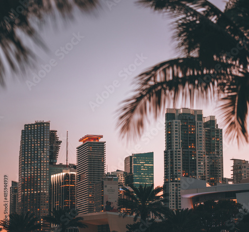 city skyline at night sunset downtown miami palms skyscrapers travel beautiful  © Alberto GV PHOTOGRAP