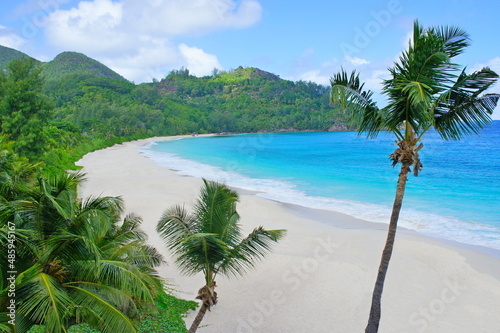 Fototapeta Naklejka Na Ścianę i Meble -  Beach with palm trees and sea. Beautiful palm beach on tropical island. White sand beach with coconut palm trees on shore Indian ocean. Paradise secluded beach at summer season.