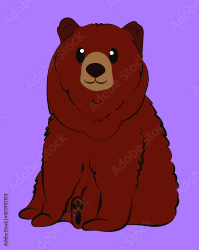 cartoon cute brown bear sitting down