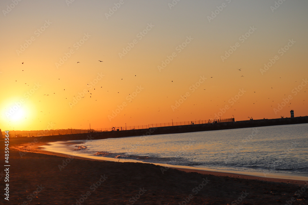 Océan lever de soleil avec envole de mouettes