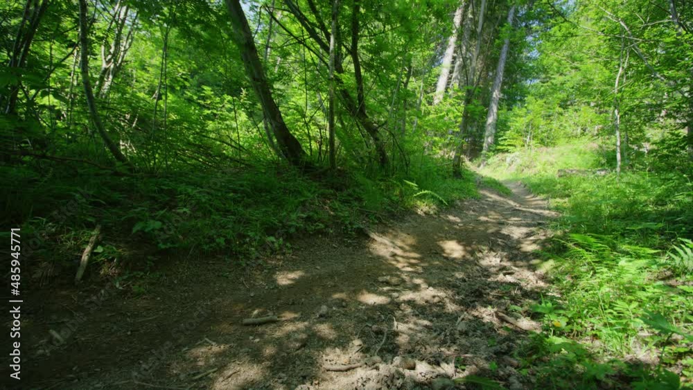 A mountain biker rides down a trail at high speed A mountain biker rides down a trail at high speed